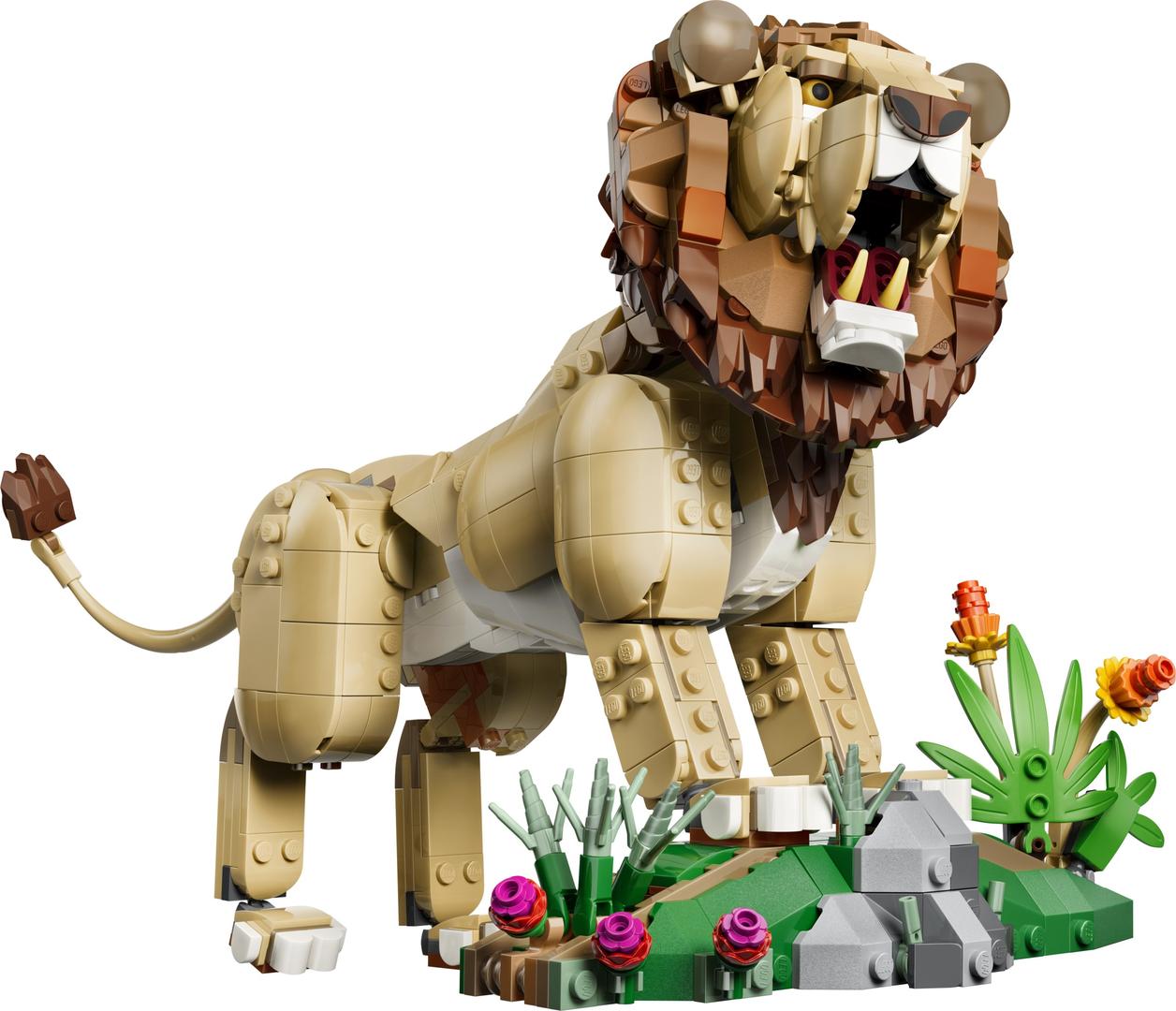 Wild Animals: Majestic Lion