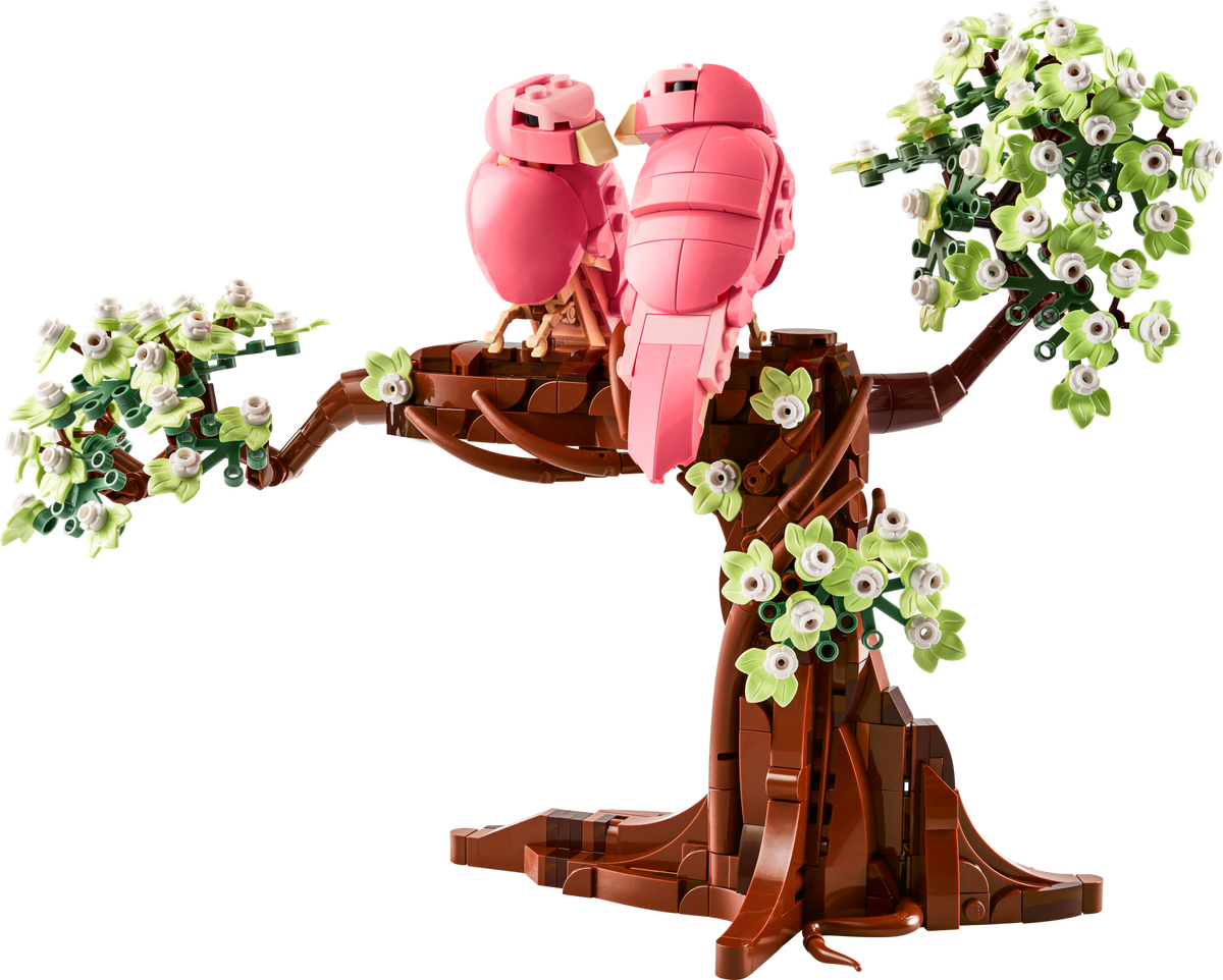Love Birds