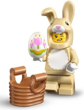 Rabbit Suit