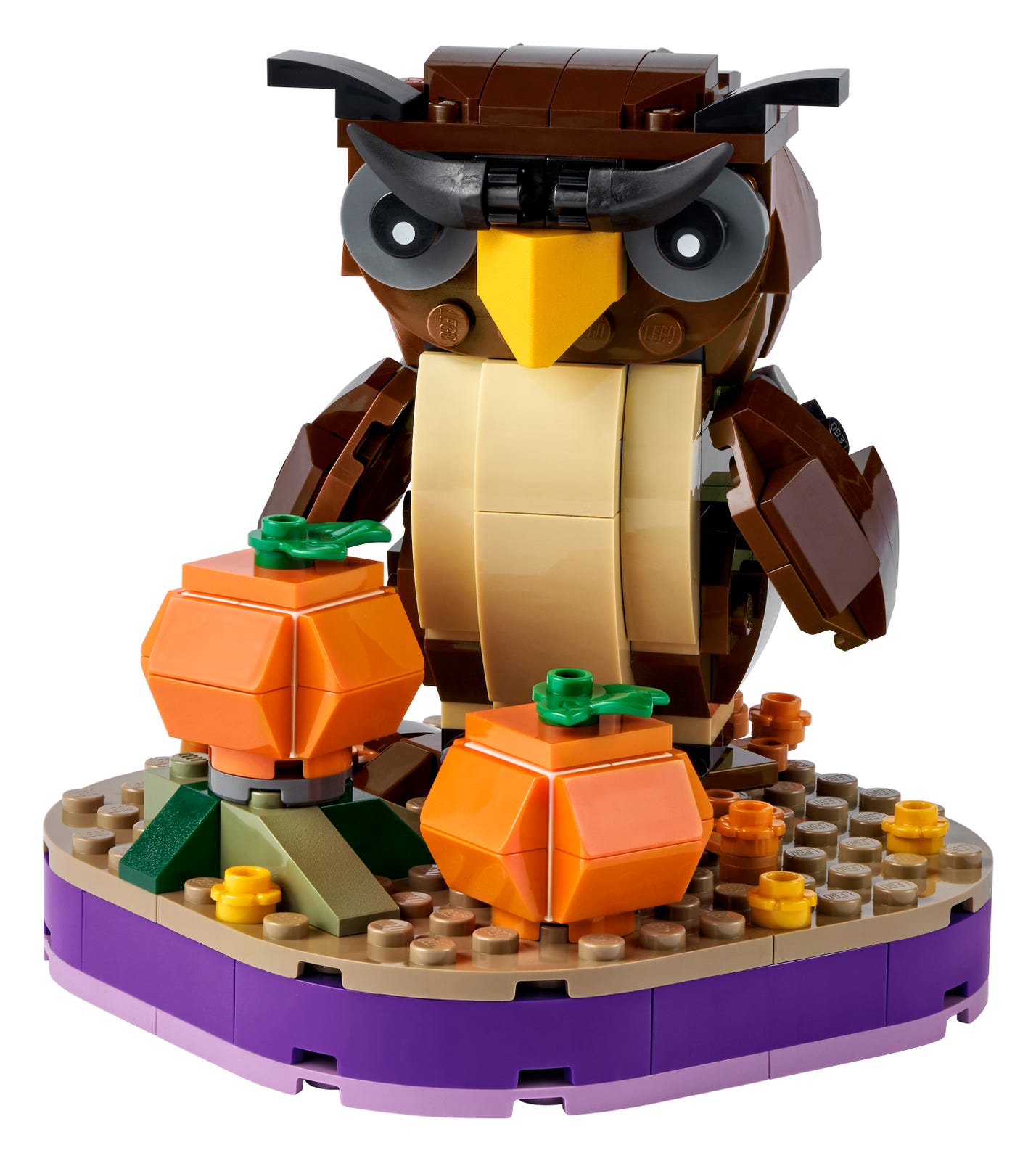 Halloween Owl