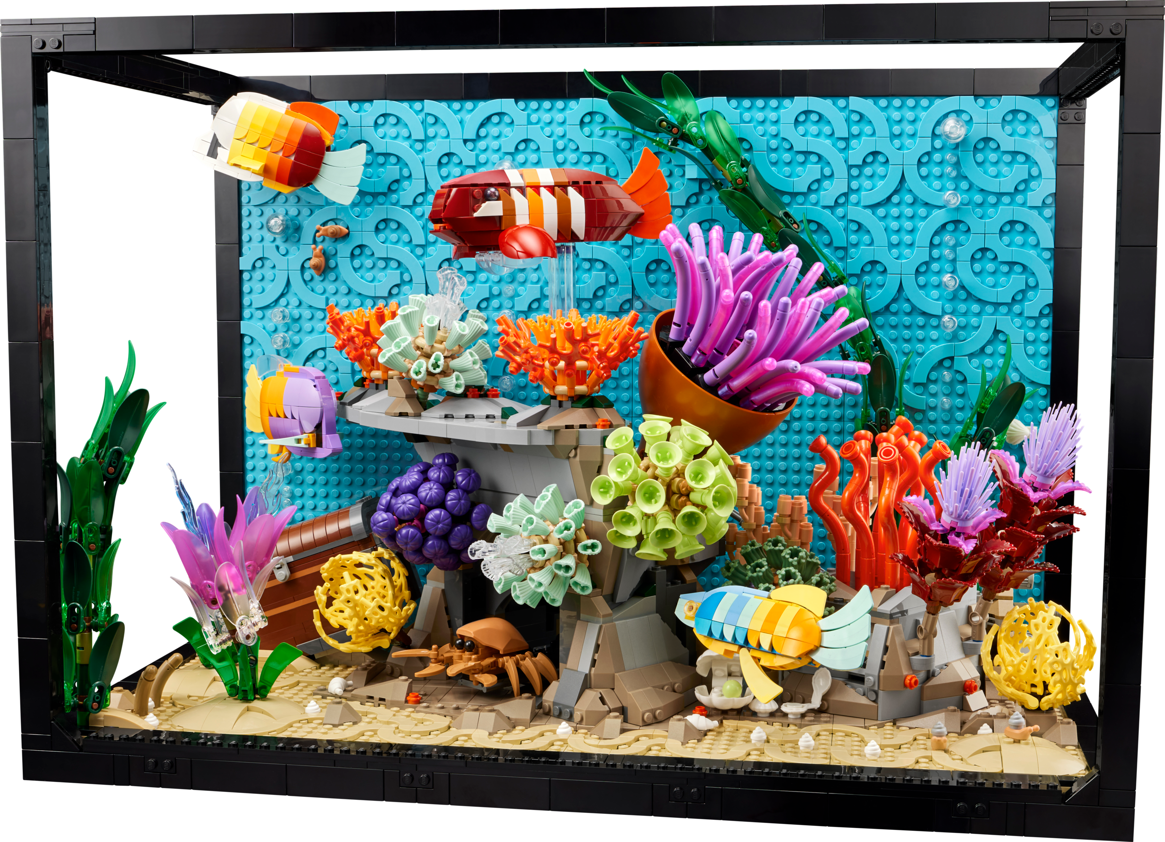 L’aquarium tropical