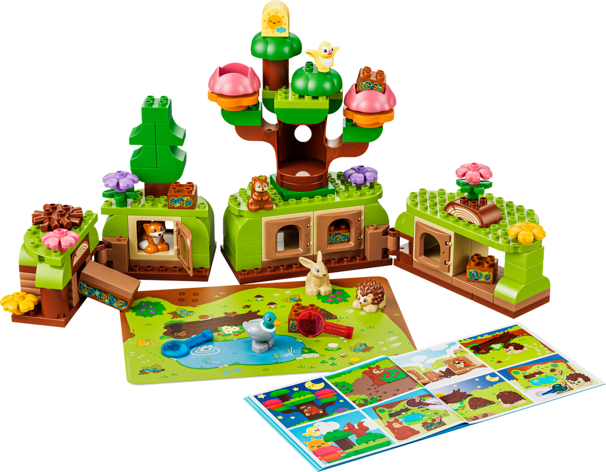 Discovery Forest with Wild Animals