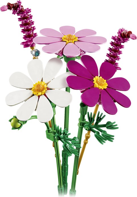 Cosmos Flowers