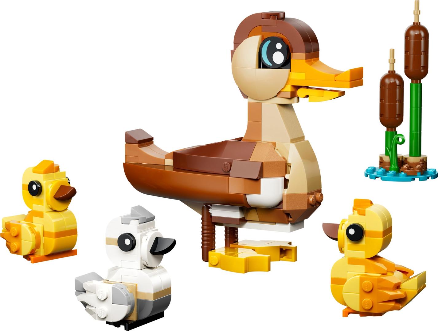 Duck Family
