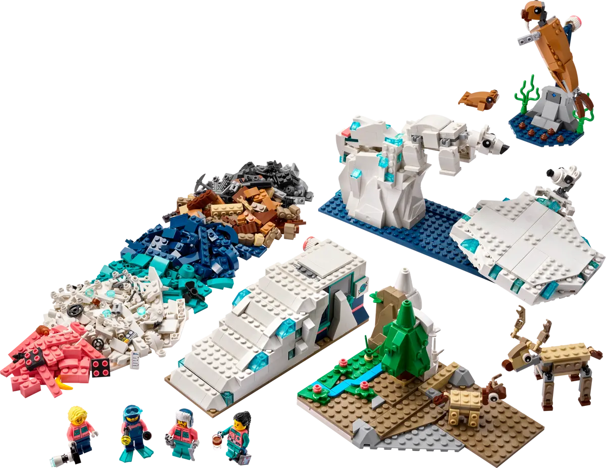 Arctic Animals Science Kit