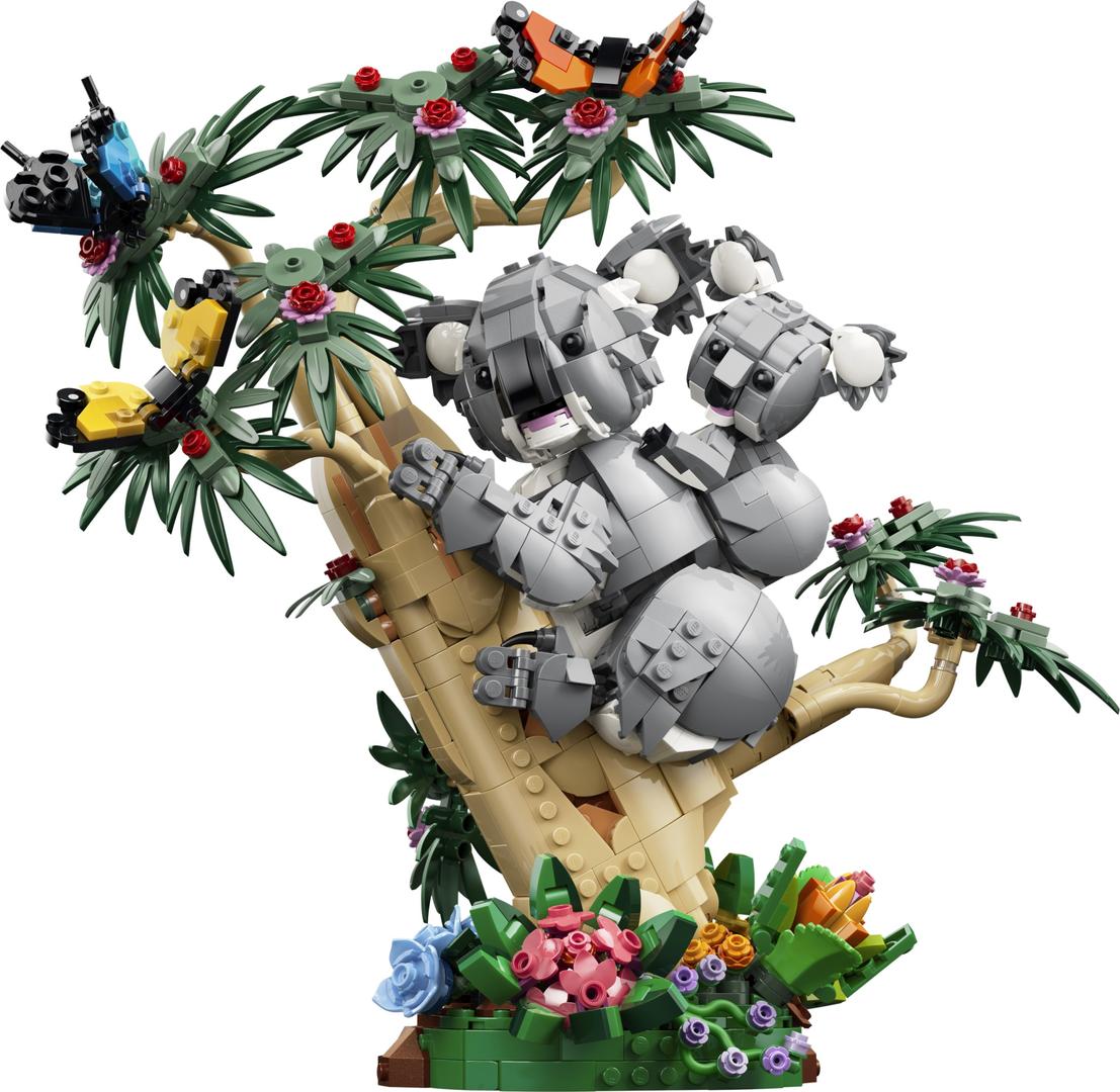 Wild Animals: Family of Koalas